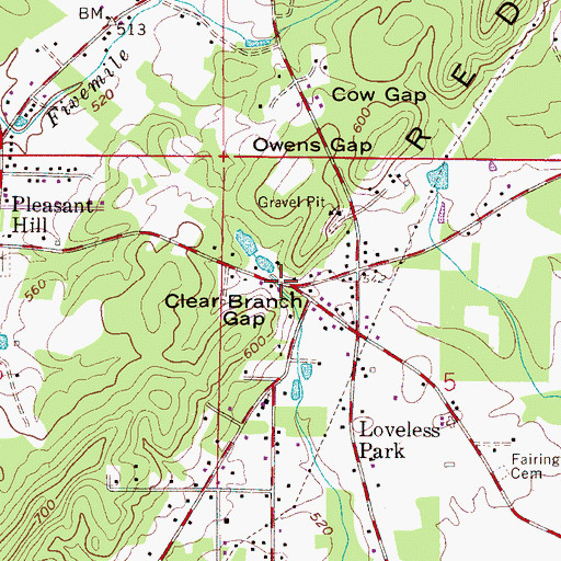 Topographic Map of Clear Branch Gap, AL
