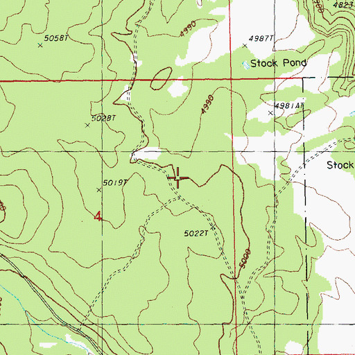 Topographic Map of Some Chance Pond, OR