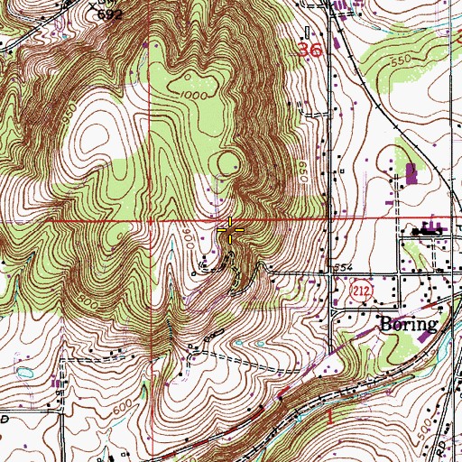 Topographic Map of Rays Spring, OR
