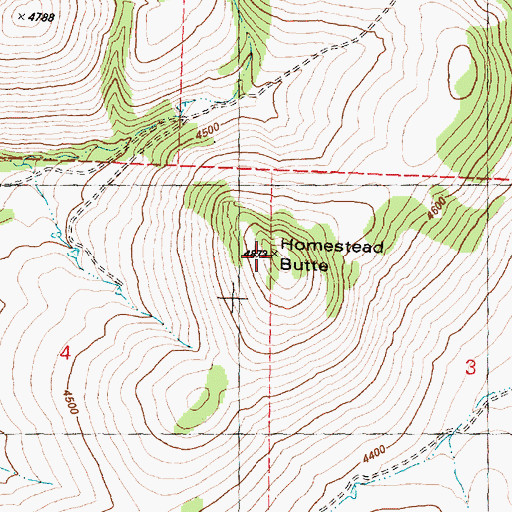 Topographic Map of Homestead Butte, OR