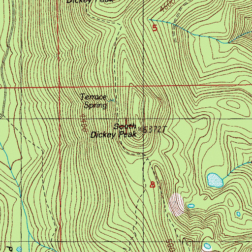Topographic Map of South Dickey Peak, OR