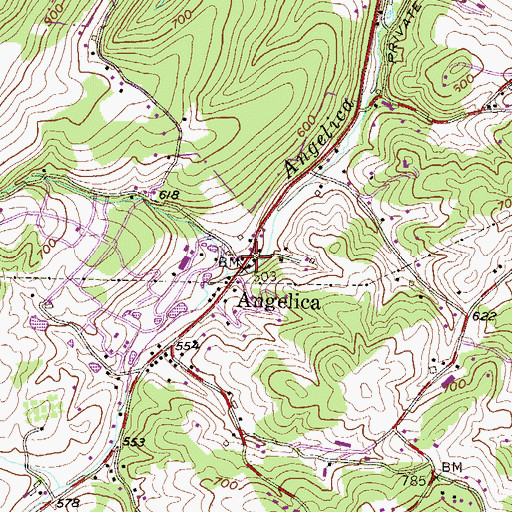 Topographic Map of Angelica, PA