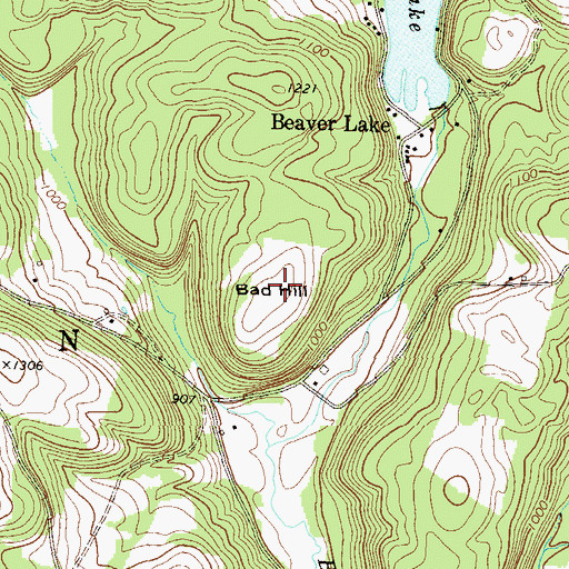 Topographic Map of Bad Hill, PA