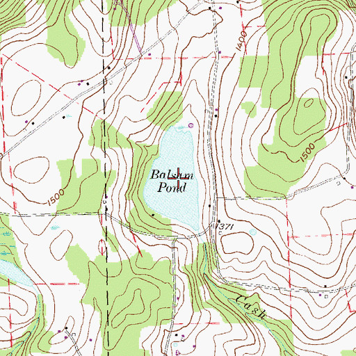 Topographic Map of Balsam Pond, PA