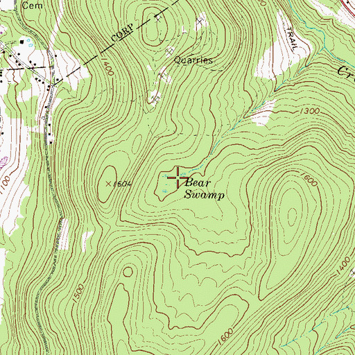 Topographic Map of Bear Swamp, PA