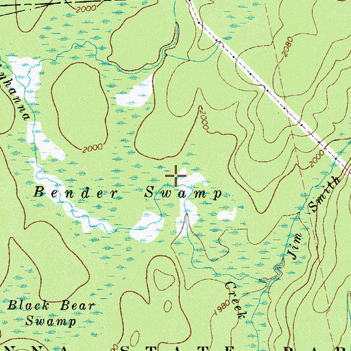 Topographic Map of Bender Swamp, PA