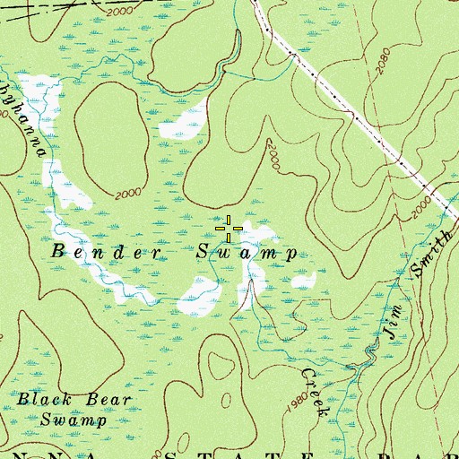 Topographic Map of Bender Swamp, PA