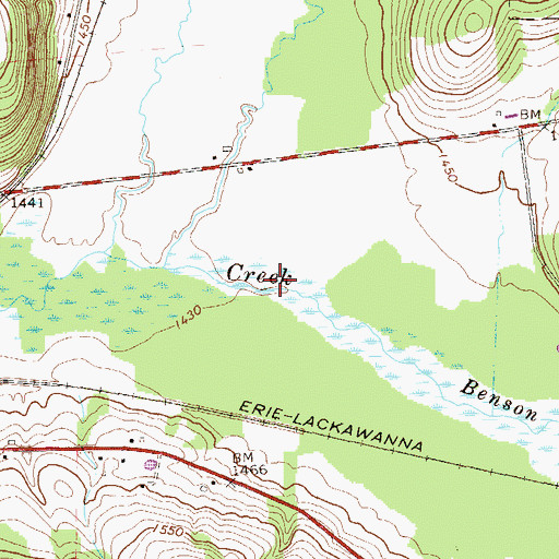 Topographic Map of Benson Swamp, PA