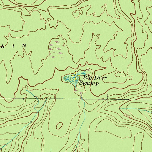 Topographic Map of Big Deer Swamp, PA