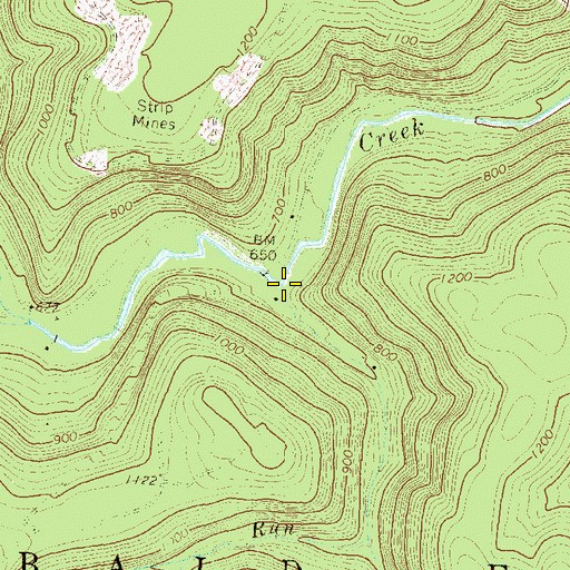 Topographic Map of Bird Run, PA