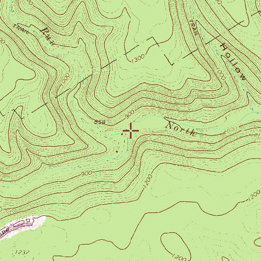 Topographic Map of Boiler Run, PA
