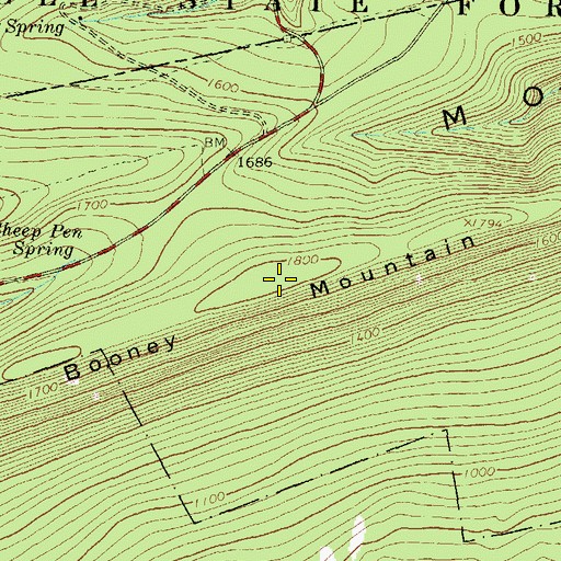 Topographic Map of Booney Mountain, PA
