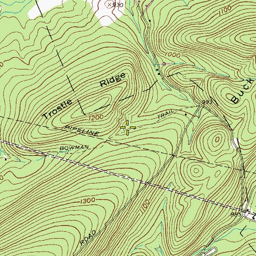 Topographic Map of Bowman Trail, PA