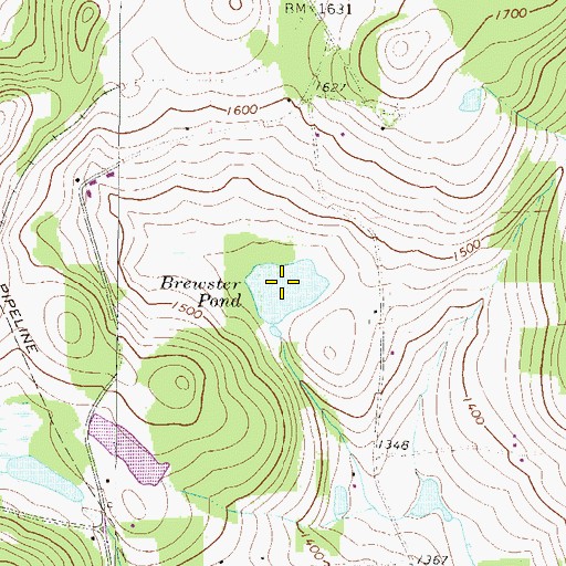 Topographic Map of Brewster Pond, PA