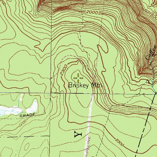 Topographic Map of Briskey Mountain, PA