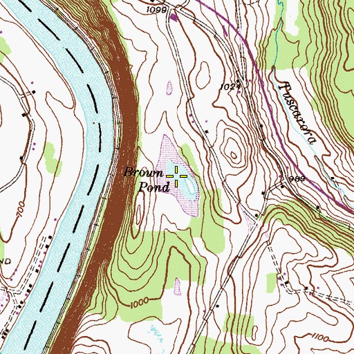 Topographic Map of Brown Pond, PA