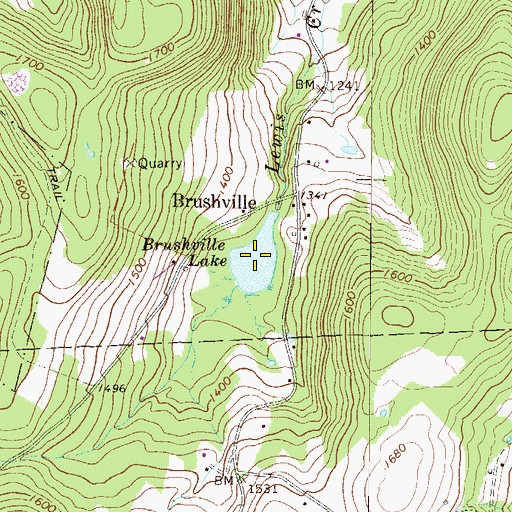 Topographic Map of Brushville Lake, PA