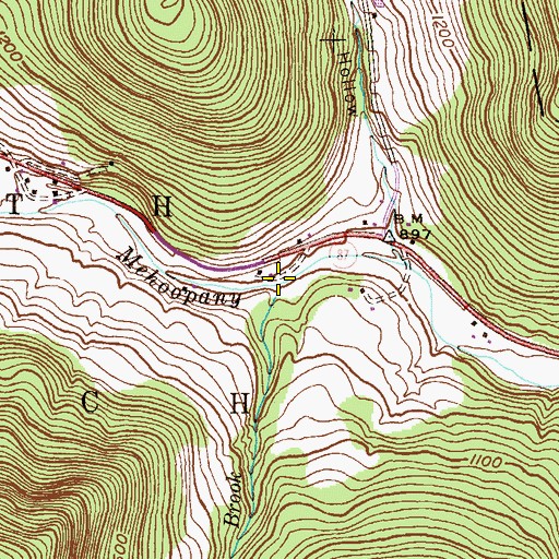 Topographic Map of Burgess Brook, PA