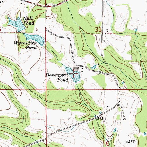 Topographic Map of Davenport Pond, AL