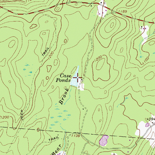 Topographic Map of Case Ponds, PA