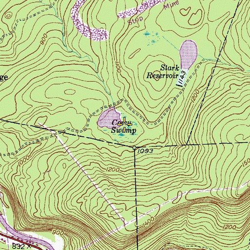 Topographic Map of Covey Swamp, PA