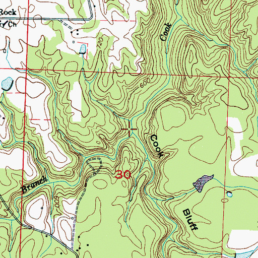 Topographic Map of Dillard Branch, AL