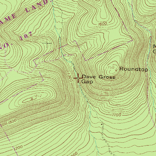 Topographic Map of Dave Gross Gap, PA
