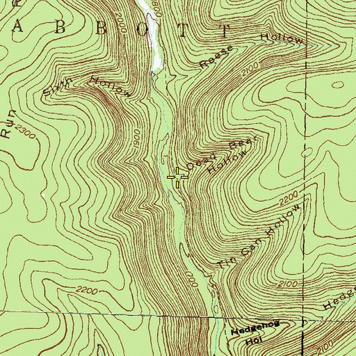 Topographic Map of Dead Bear Hollow, PA