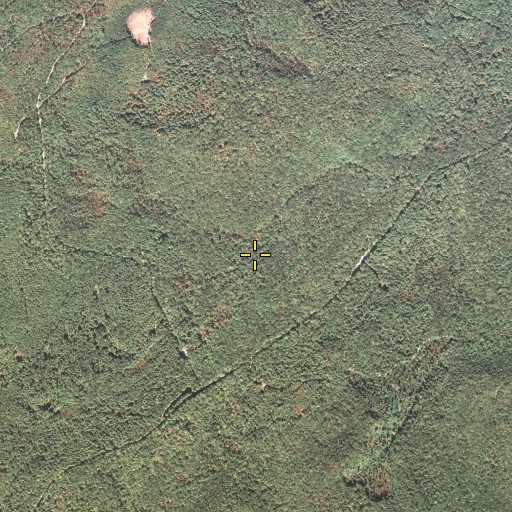 Aerial/Satellite Image of Dead Woman Hollow, PA