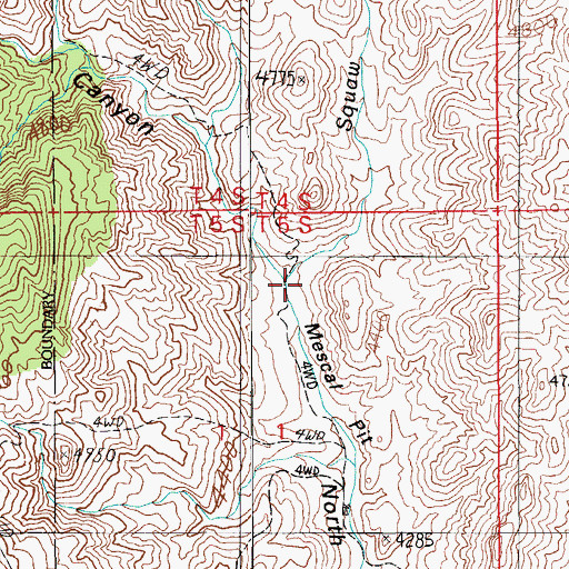 Topographic Map of Squaw Creek, AZ