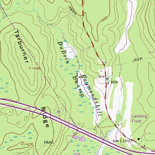 Topographic Map of DuBois Swamp, PA
