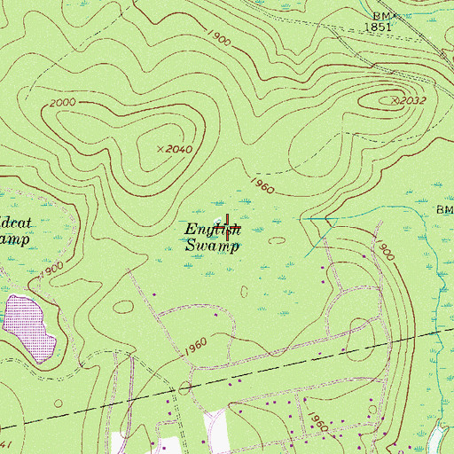 Topographic Map of English Swamp, PA