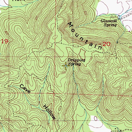 Topographic Map of Dripping Spring, AL