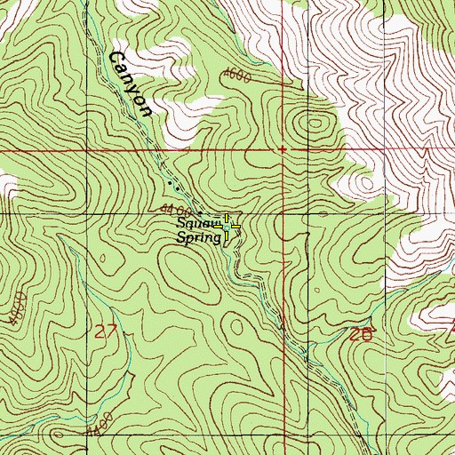 Topographic Map of Squaw Spring, AZ