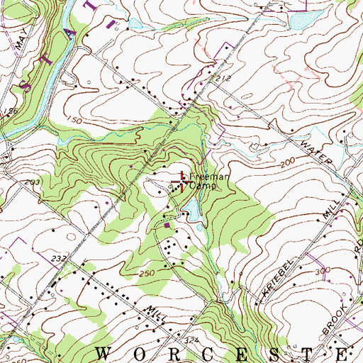 Topographic Map of Freeman Camp, PA