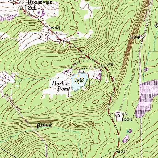 Topographic Map of Harlow Pond, PA