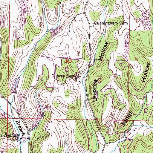 Topographic Map of Dupree Cemetery, AL