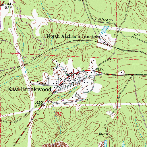 Topographic Map of East Brookwood, AL
