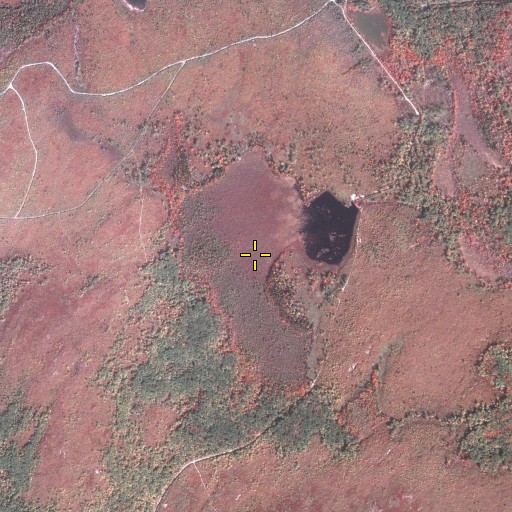 Aerial/Satellite Image of Jimmy Kane Swamp, PA