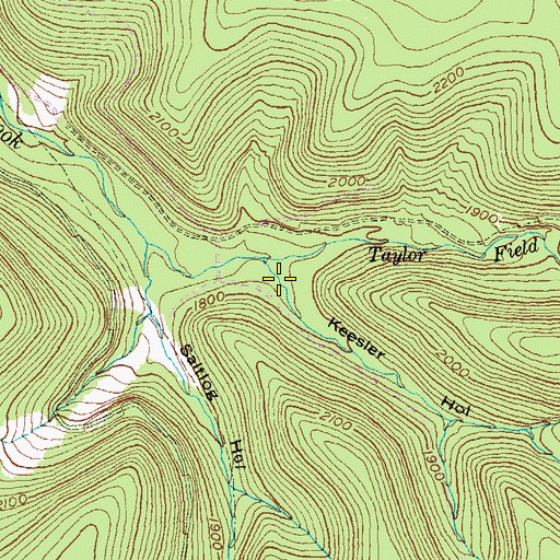 Topographic Map of Keesler Hollow, PA