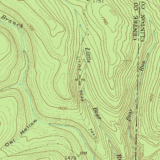Topographic Map of Little Bear Trail, PA
