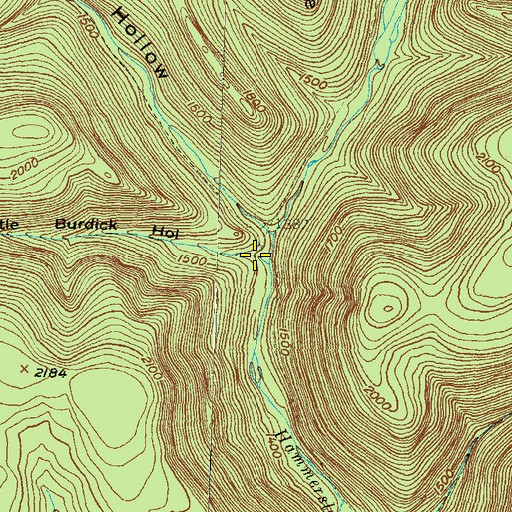Topographic Map of Little Burdick Hollow, PA