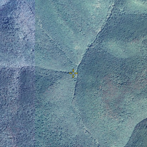 Aerial/Satellite Image of Little Burdick Hollow, PA