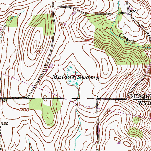 Topographic Map of Malone Swamp, PA