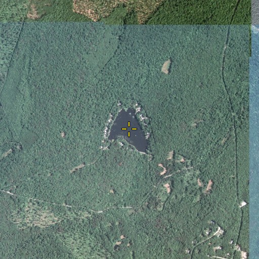 Aerial/Satellite Image of Manzanedo Lake, PA