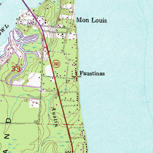 Topographic Map of Faustinas, AL