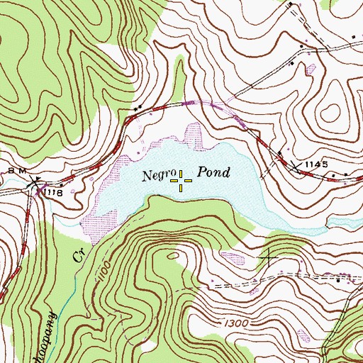 Topographic Map of Negro Pond, PA