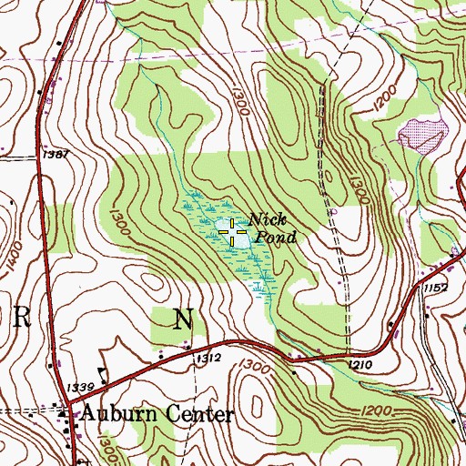 Topographic Map of Nick Pond, PA