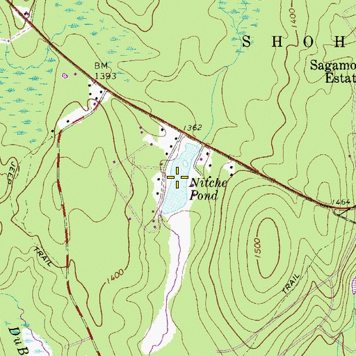 Topographic Map of Nitche Pond, PA