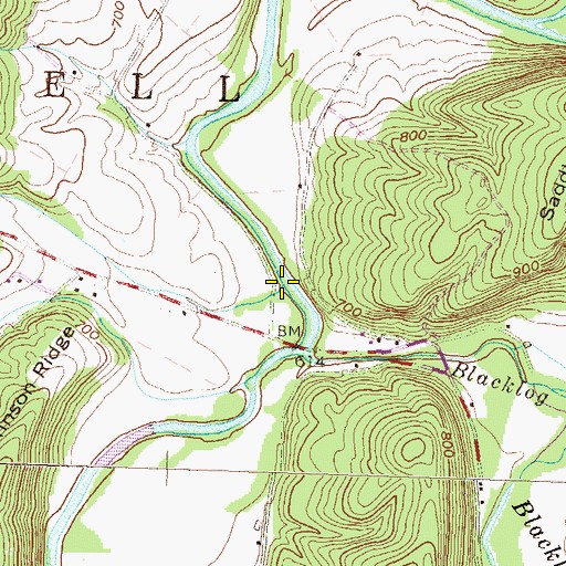 Topographic Map of Old Womans Run, PA